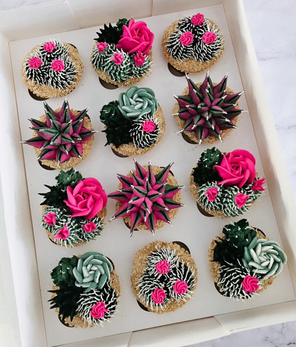 cactus and succulent cupcakes